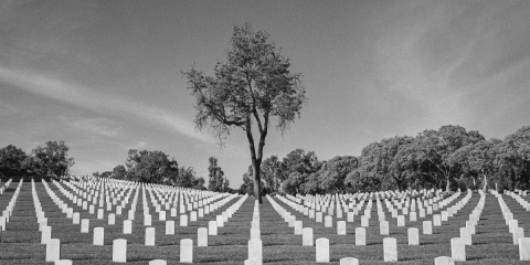161109_veterans2011