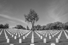 161109_veterans2011