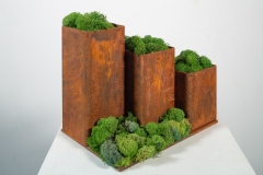 Repository, 2024, rusted steel, dried moss, 9x11x8 inches