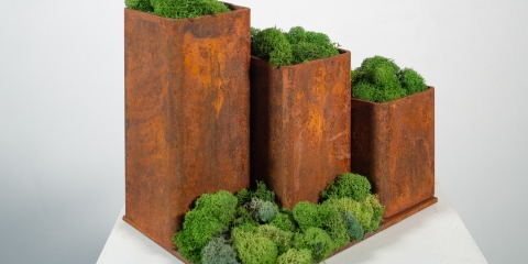 Repository, 2024, rusted steel, dried moss, 9x11x8 inches
