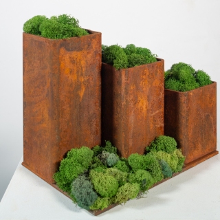 Repository, 2024, rusted steel, dried moss, 9x11x8 inches