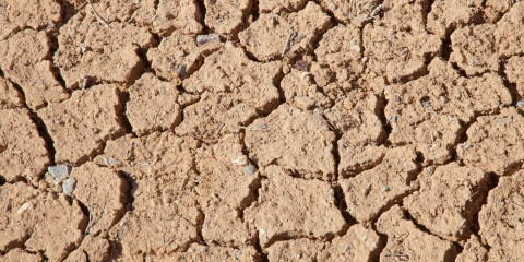 19-cracked_earth