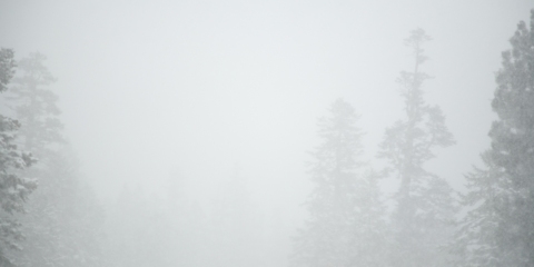 25-foggy_mammoth